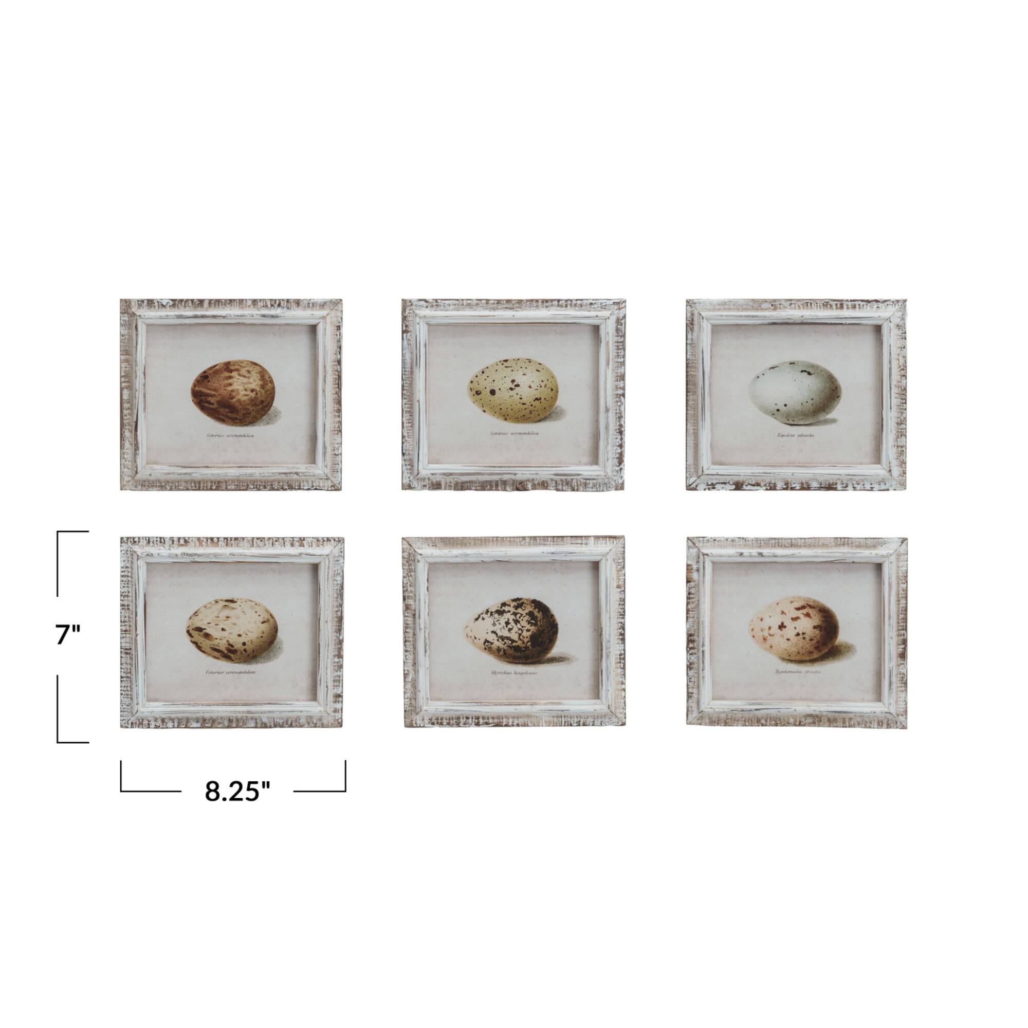 Hello Honey® 8.25" x 7" Rustic Elegance Egg Print Series Wall Décor Set
